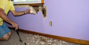 Wall Infested by Termites | Arrow Services, Inc. Blog